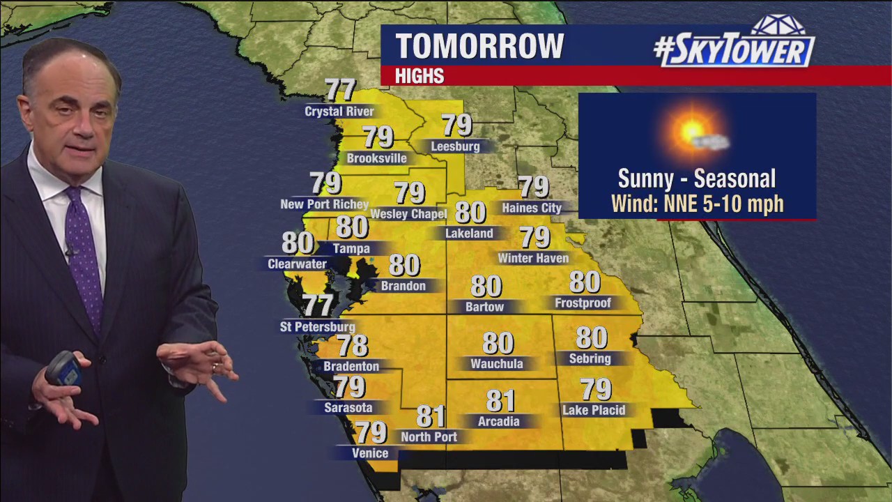 Tampa weather | High wind gusts and sunny