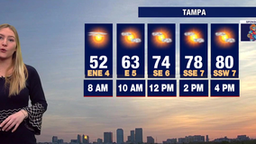 Tampa weather | Expect rising temperatures