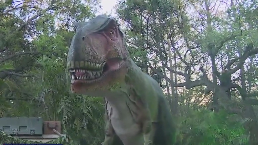 Dinos unearthed at ZooTampa