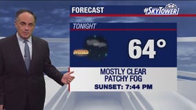Tampa weather | Sunny and warm this week