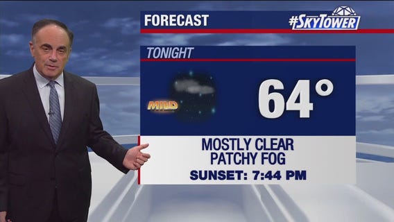 Tampa weather | Sunny and warm this week