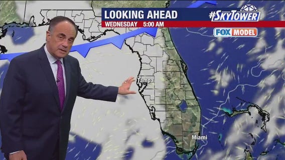 Tampa Weather | Warming trend