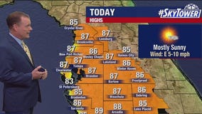 Tampa weather | Thursday forecast