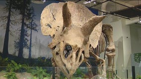 Glazer Children?s Museum?s Camp Imagination