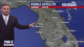 Tampa Weather | Staying in the 80s