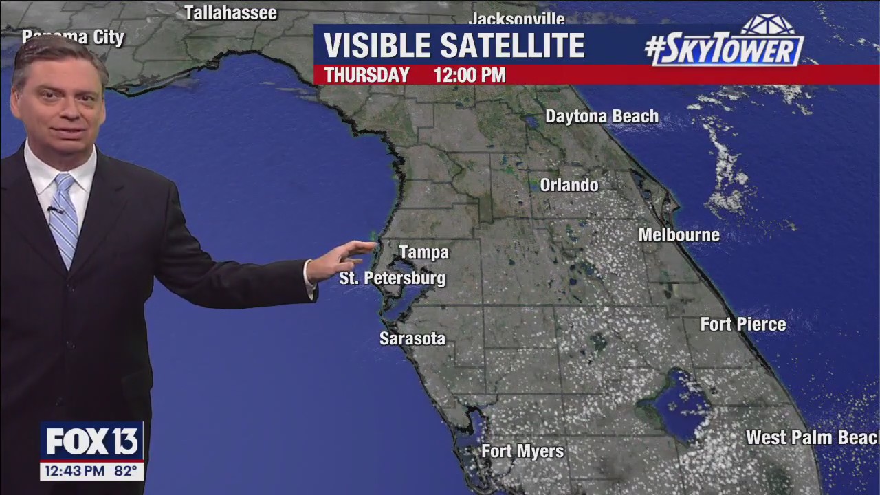 Tampa Weather | Staying in the 80s