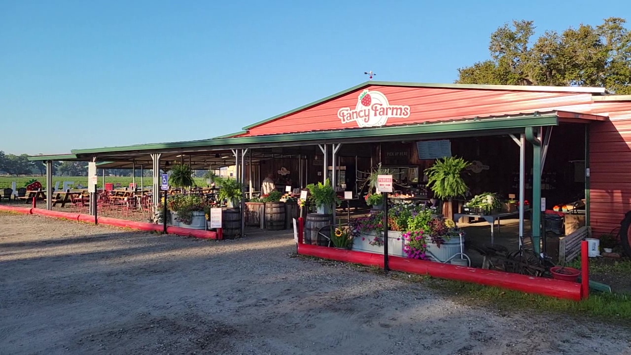 Charley's World | Fancy Farms Market