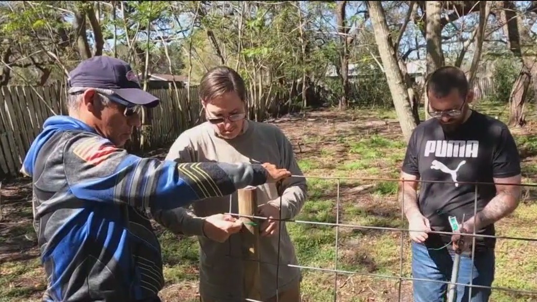 Nonprofit helps veterans through agriculture
