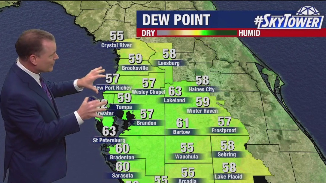 Tampa weather | Friday forecast