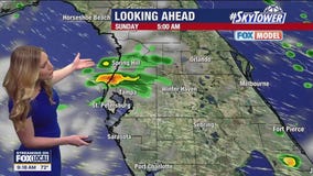 Tampa weather | Comfortable temps Saturday