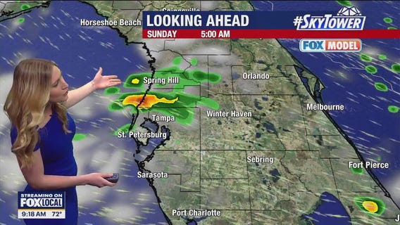 Tampa weather | Comfortable temps Saturday