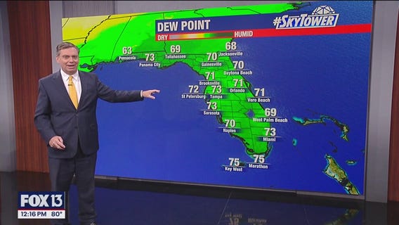 Tampa Weather | Summer-like weather returns