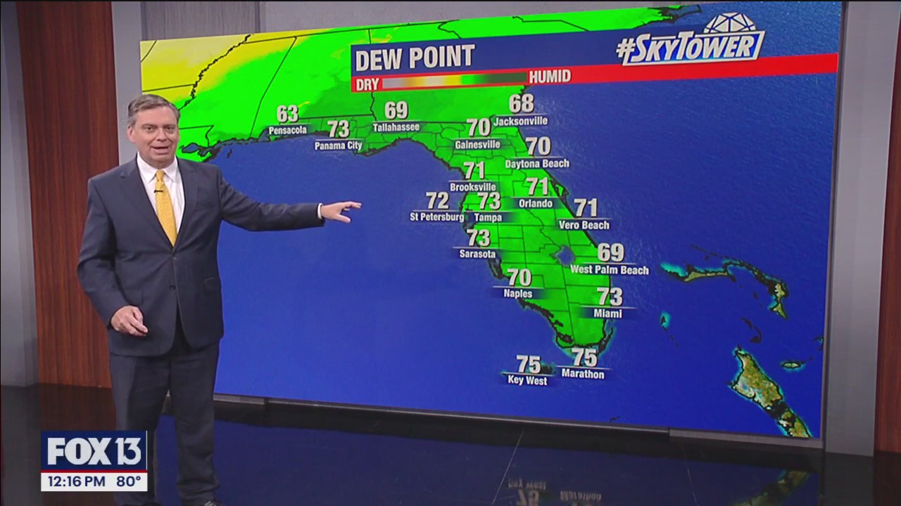 Tampa Weather | Summer-like weather returns