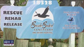 Charley's World | Seaside Seabird Sanctuary