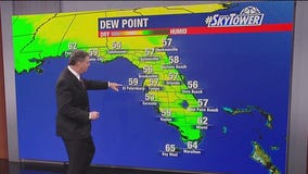 Tampa weather | Friday afternoon forecast