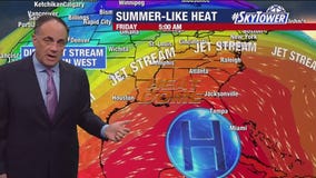 Tampa weather | Warm and humid conditions