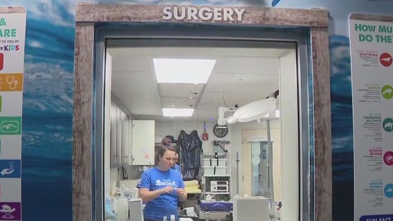 Hurricane recovery at Clearwater Marine Aquarium