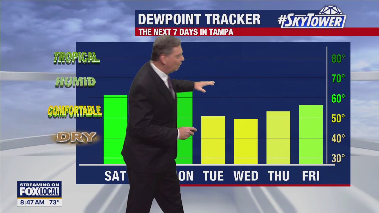 Tampa weather | Sunny and windy Saturday