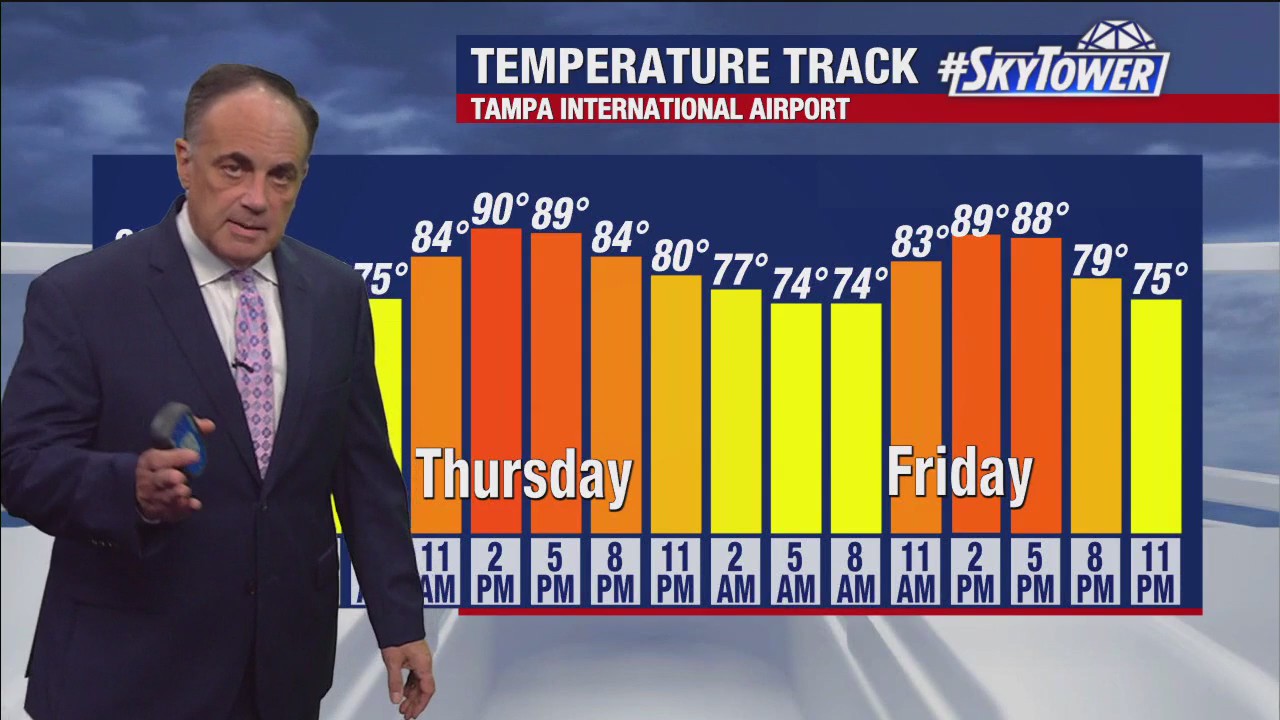 Tampa weather | Warm and sunny