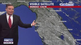 Tampa Weather | Near record heat over next few days