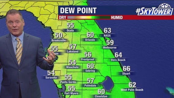 Tampa weather | Thursday forecast