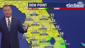 Tampa weather | Monday forecast