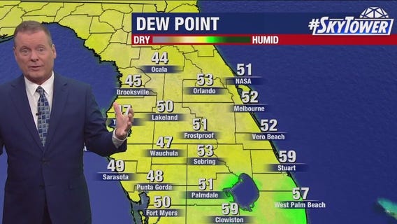Tampa weather | Monday forecast