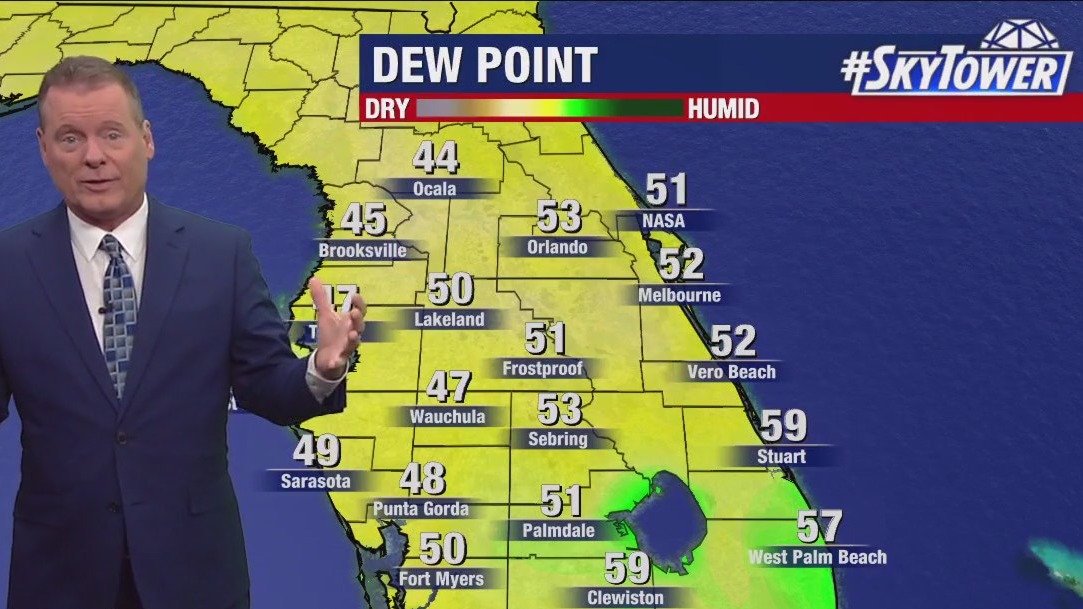 Tampa weather | Monday forecast