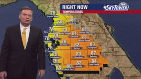 Tampa weather | Sunny skies and warm temperatures
