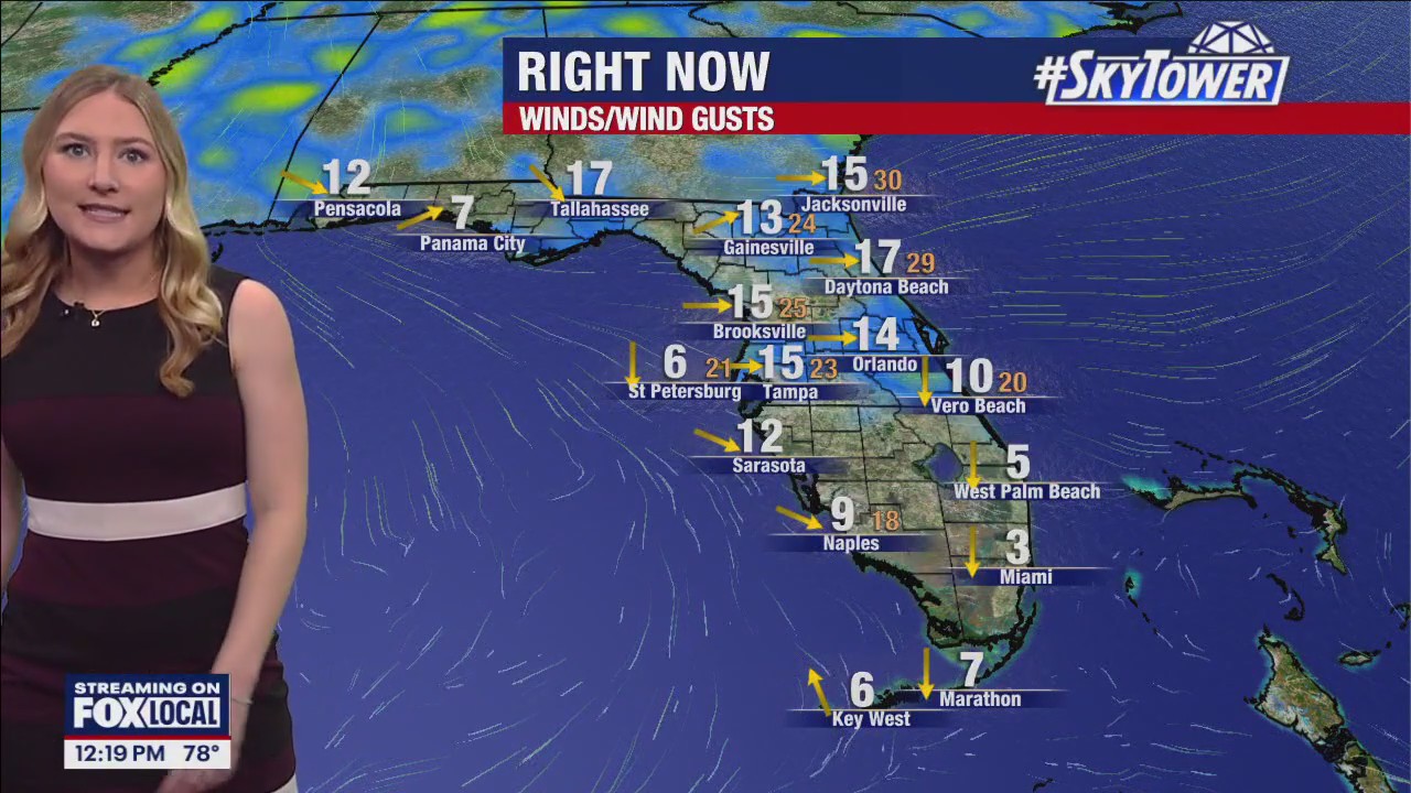 Tampa Weather | Heat builds by the weekend