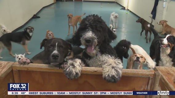 Lovin' Local: Rex's Place in Evanston