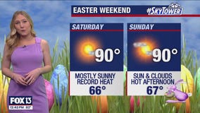 Tampa Weather | No rain in sight