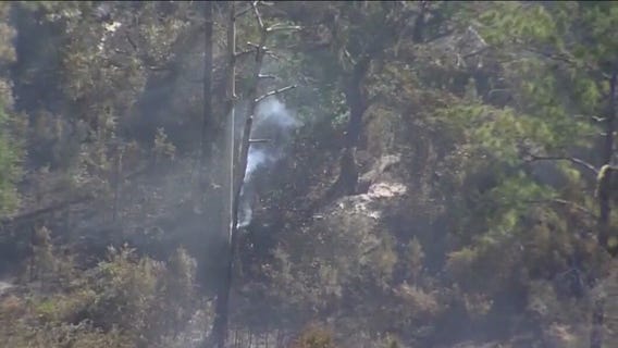 How ?thirstwaves? impact soil and plants