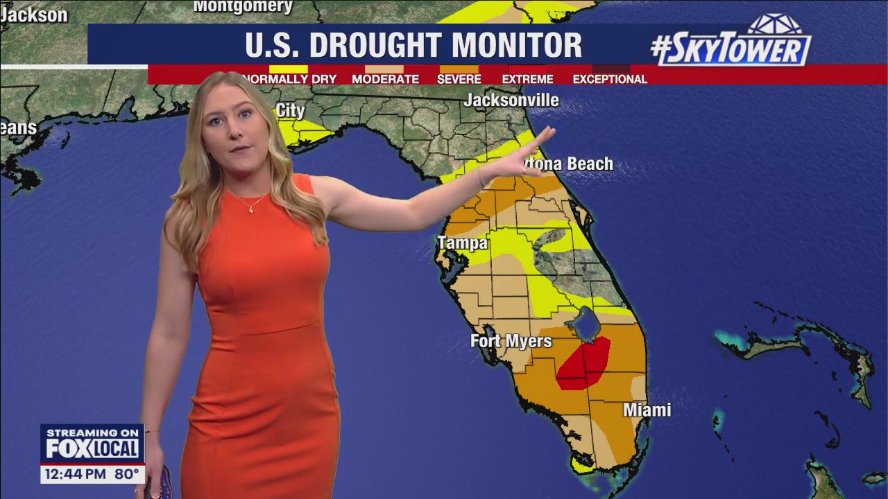 Tampa Weather | High temps near record levels