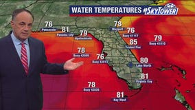 Tampa Weather | Hot, some rain chances