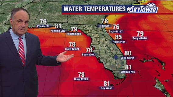 Tampa Weather | Hot, some rain chances