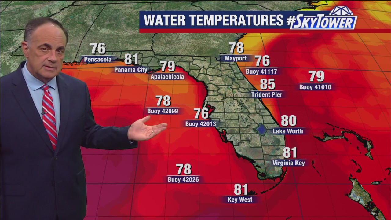 Tampa Weather | Hot, some rain chances