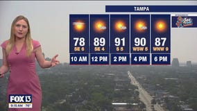 Tampa weather | Sunny and warm temps on Saturday