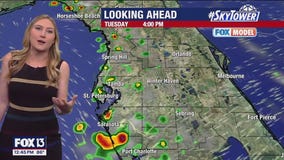 Tampa Weather | Warm temps, chance of rain