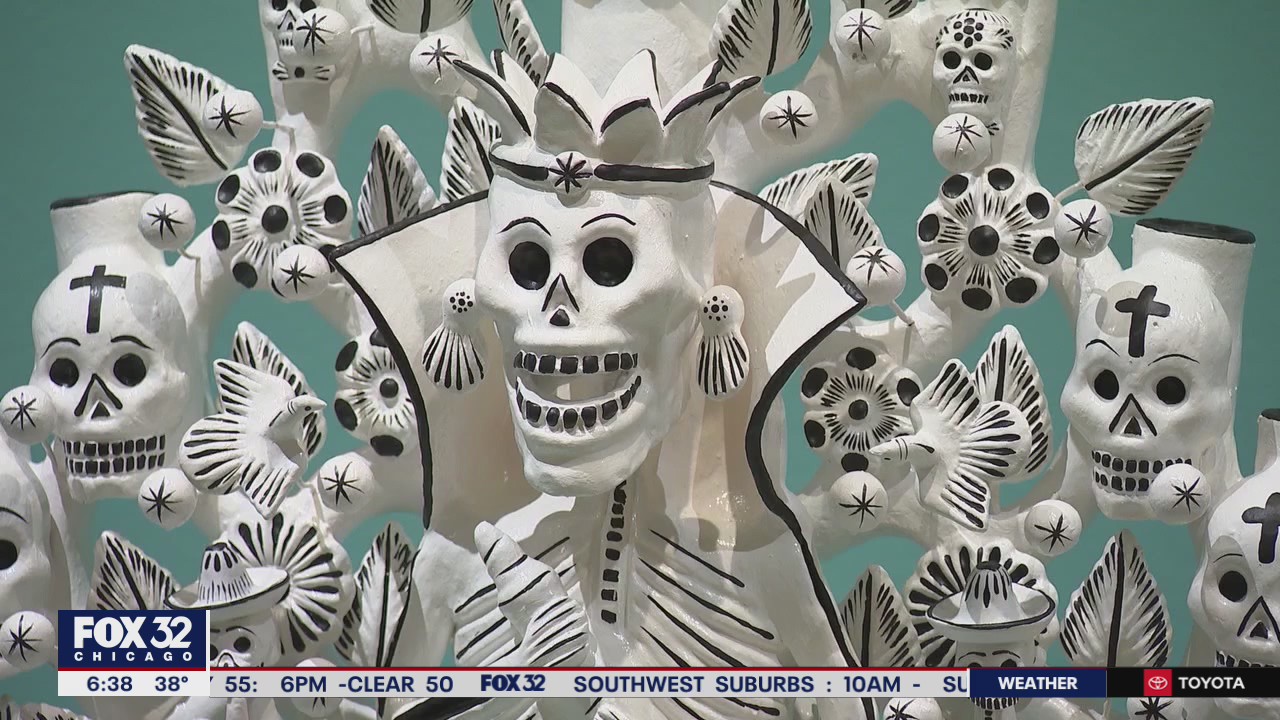 National Museum of Mexican Art wins multi-million dollar grant