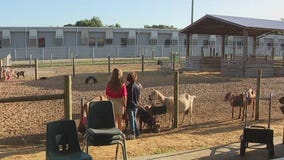 Charley's World | Academy at the Farm