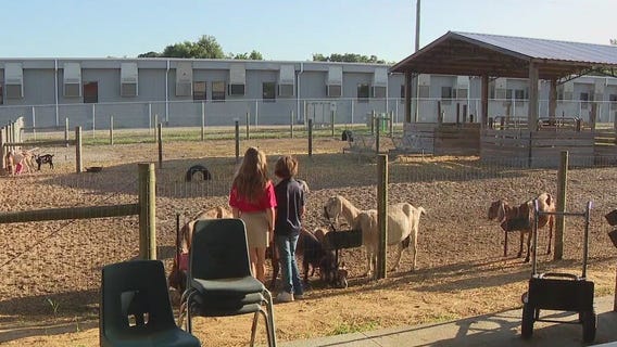 Charley's World | Academy at the Farm