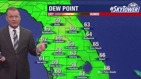Tampa weather | Friday forecast