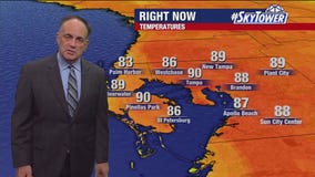 Tampa weather | Sunny day in the Bay Area