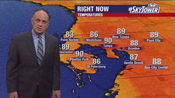 Tampa weather | Sunny day in the Bay Area