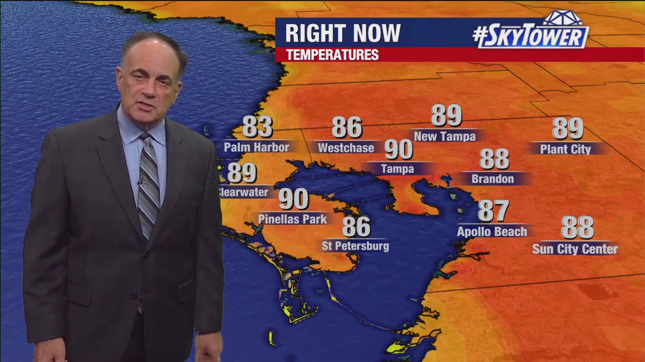 Tampa weather | Sunny day in the Bay Area