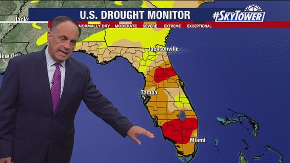 Tampa Weather | Rain chances increase next week