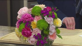 Tampa Rose Show this Saturday