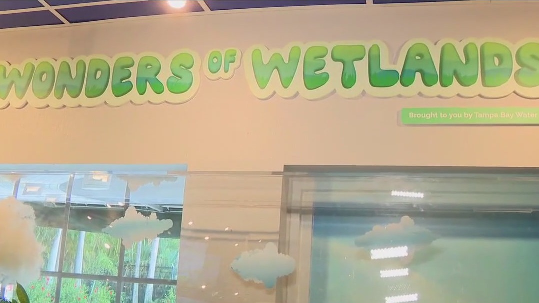 Charley's World | Great Explorations Children's Museum