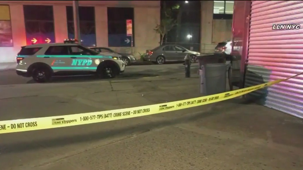 65-year-old man kills robbery suspect: NYPD